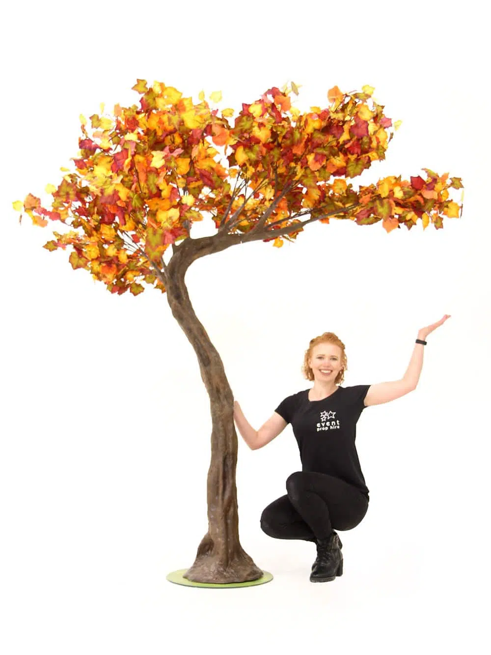 SN6424_Autumn SHORT Canopy Tree_054