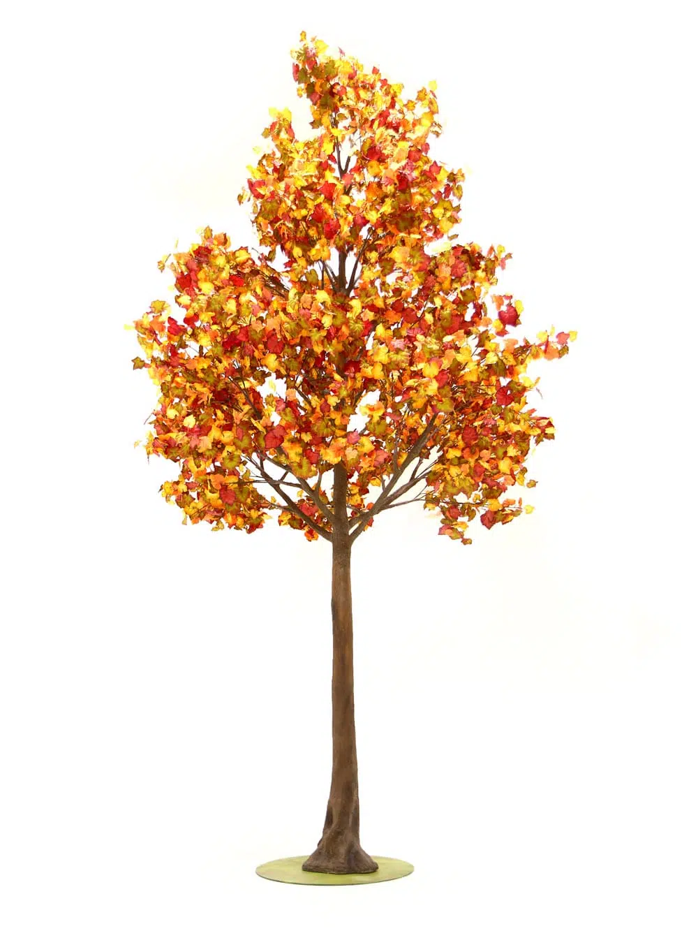 SN6497_Autumn Leaf - Giant Tree_031