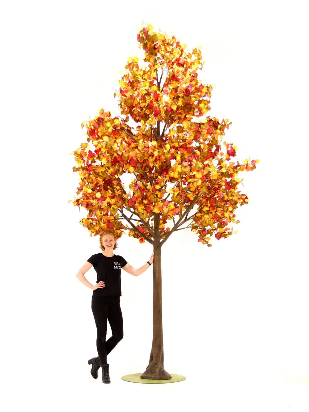 SN6497_Autumn Leaf - Giant Tree_032