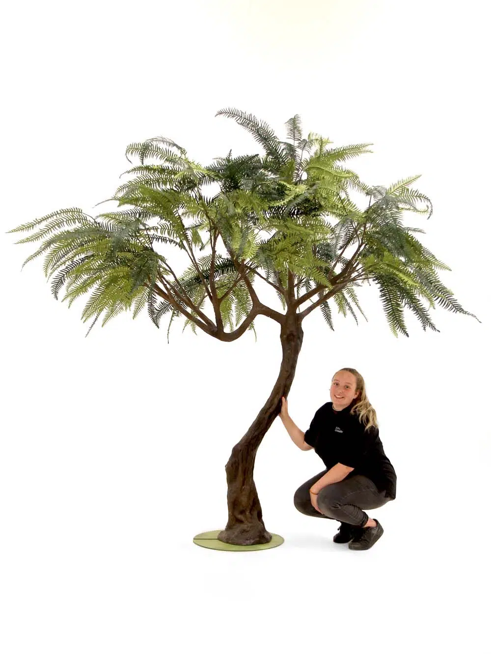SN6556_Fern Twisted Trunk Tree_event_prop_hire_EPH_creative_425_optimised