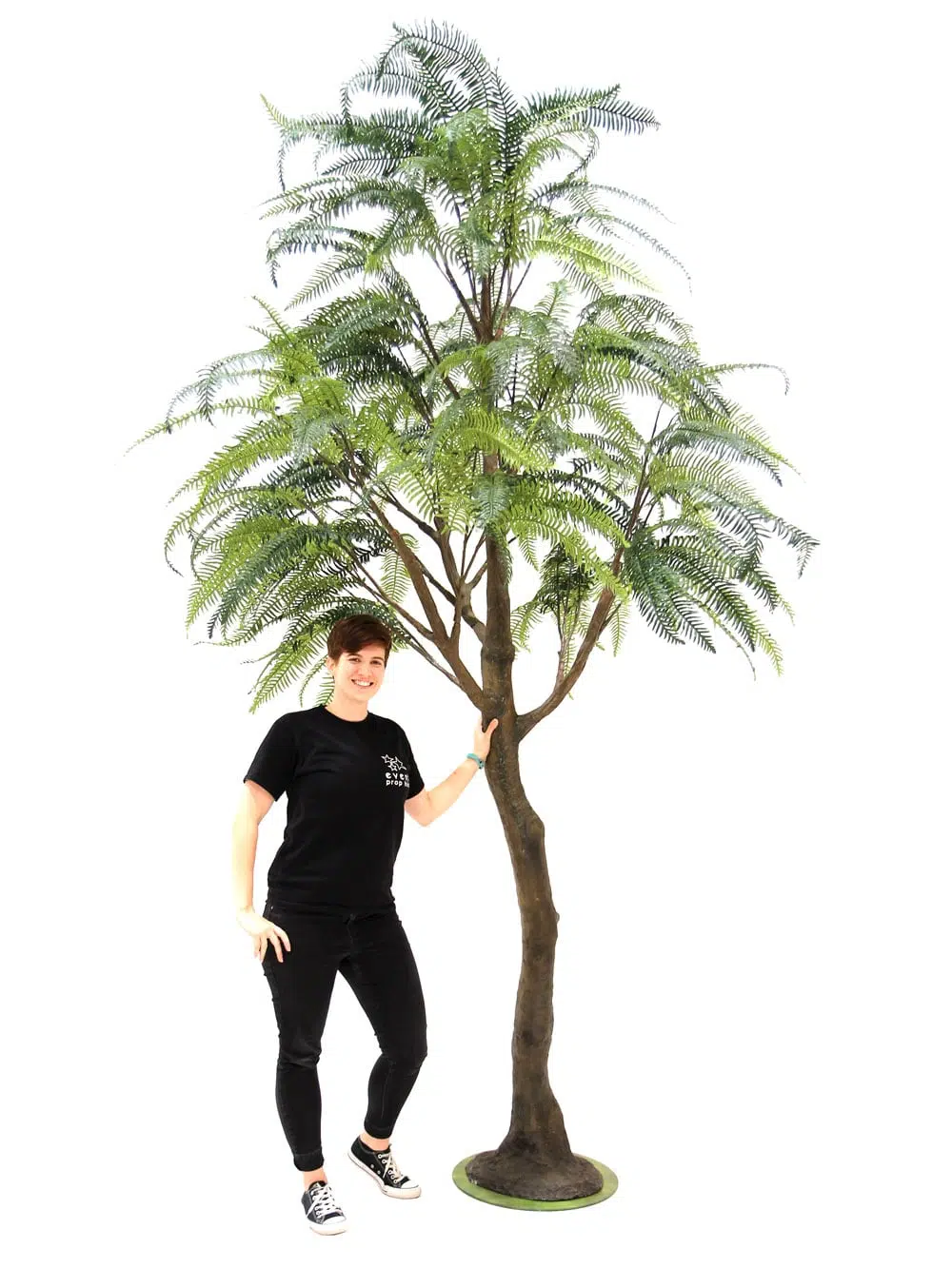 SN6557_Fern Tree (3.2m)_116