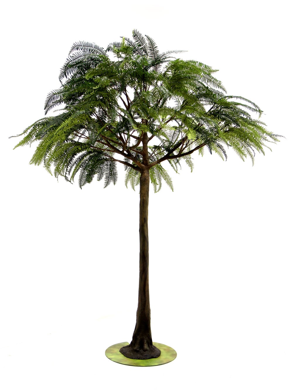 SN6558_Fern Tree (3.5m)_146