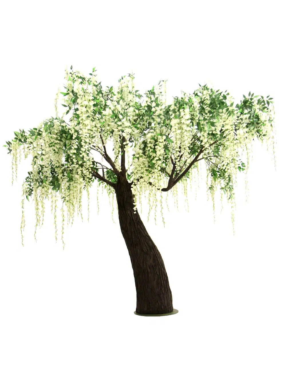SN6568_Wisteria Long Flower Tree - Thick Trunk_254