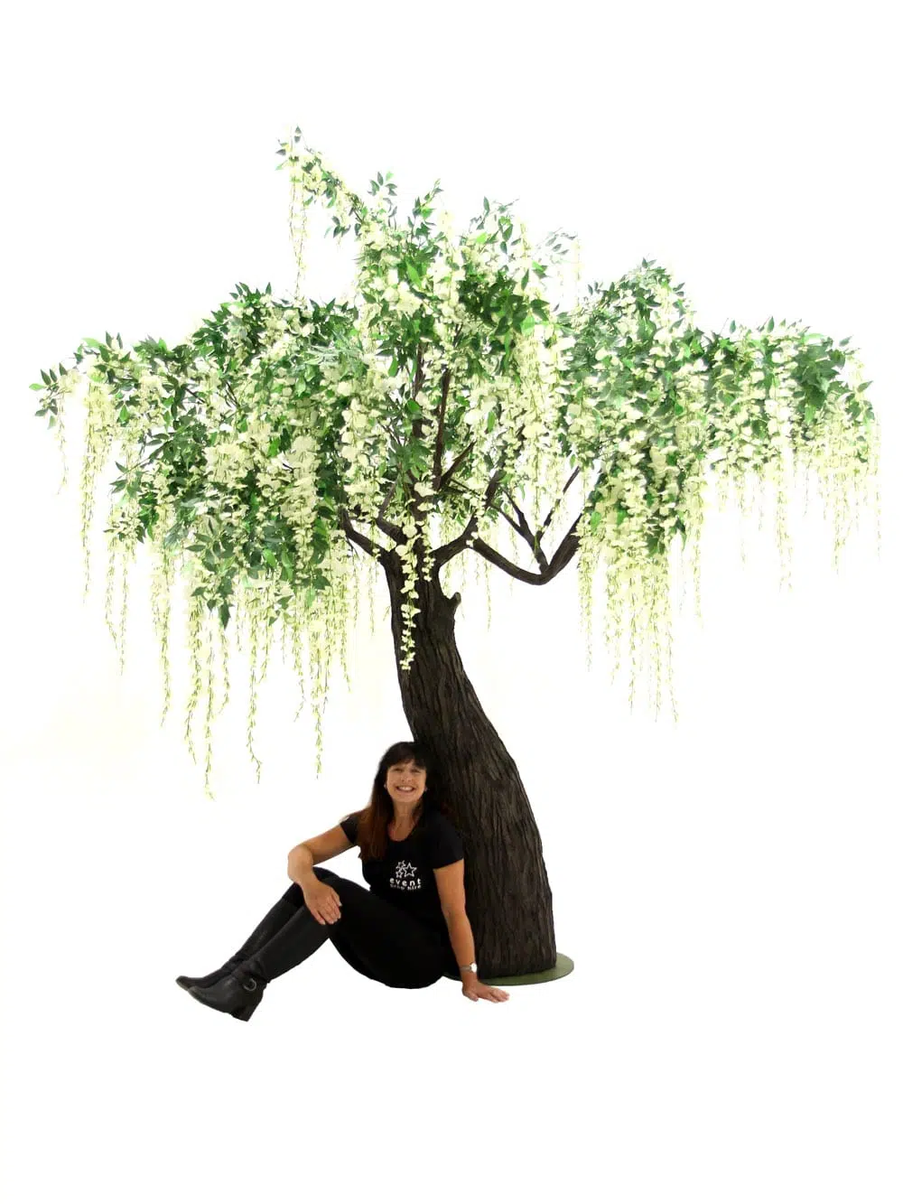 SN6568_Wisteria Long Flower Tree - Thick Trunk_255