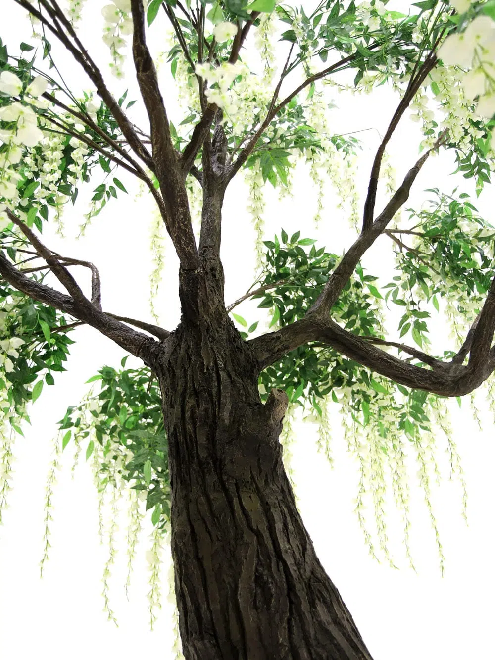 SN6568_Wisteria Long Flower Tree - Thick Trunk_256