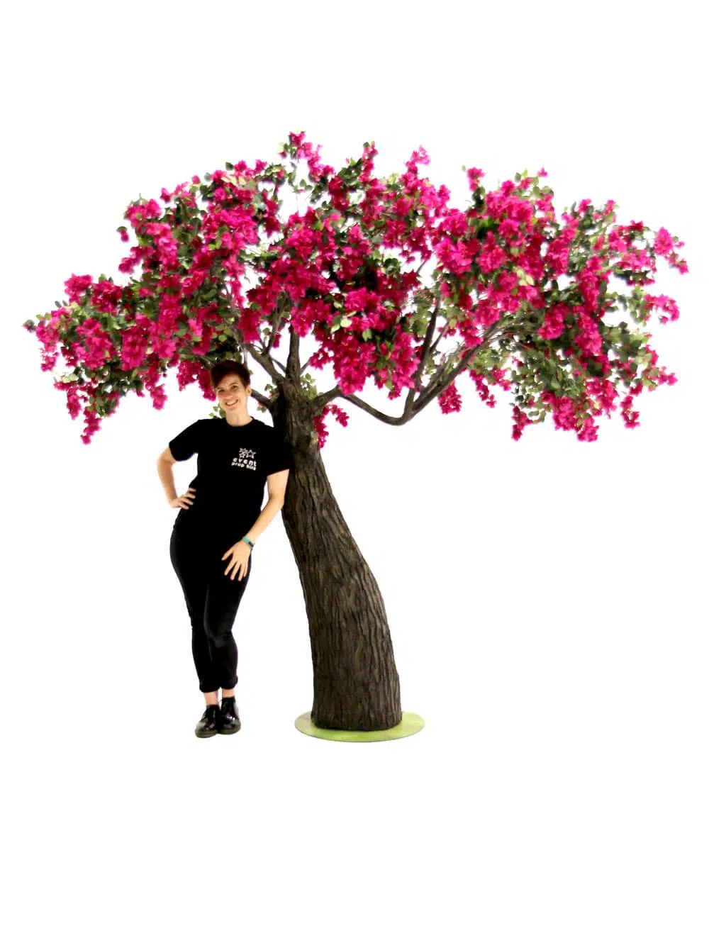 SN6573_Bougainvillea Tree - Thick Trunk_099