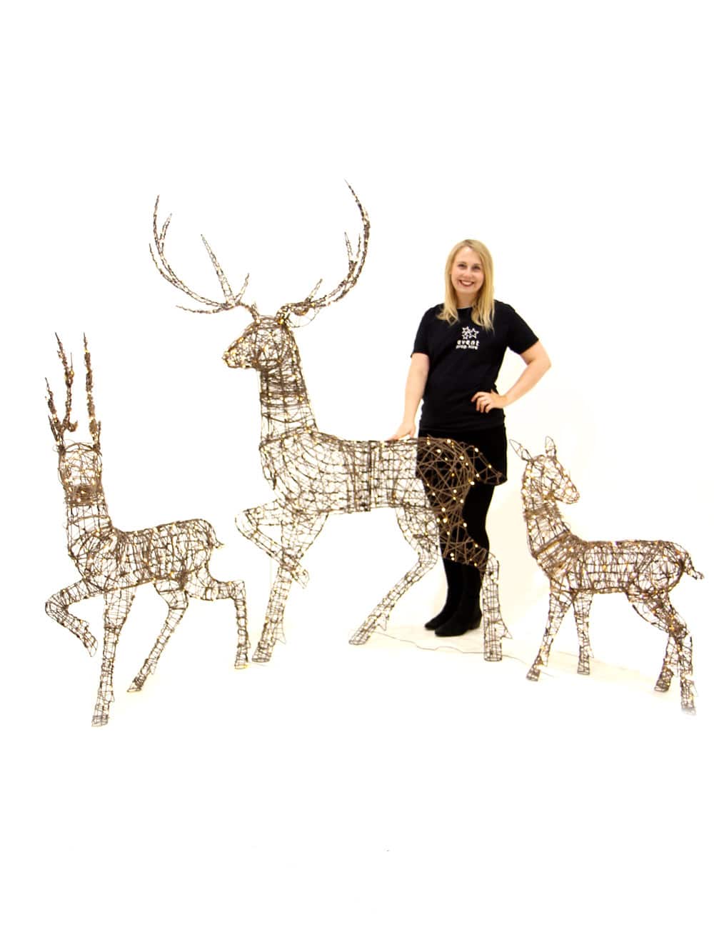 SN6319_SN6320_SN6321_Wicker-Effect Reindeer with Warm White LEDs_197