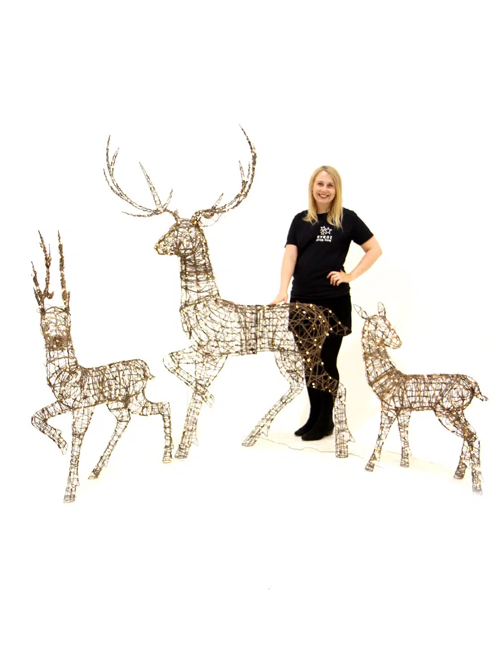 SN6319_SN6320_SN6321_Wicker-Effect Reindeer with Warm White LEDs_197