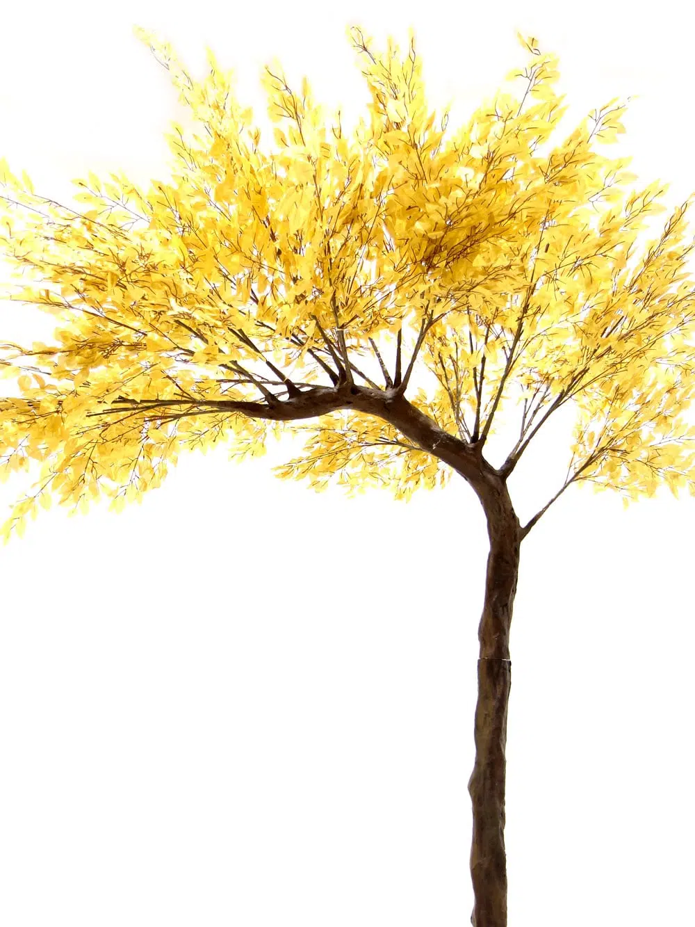 SN6727_Gold Leaf Half Arch Tree_ (2)