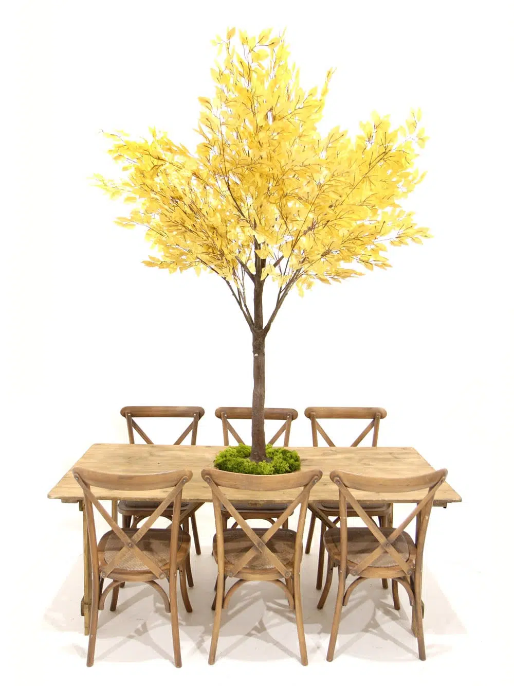SN6729_Table Top Tree - Gold_