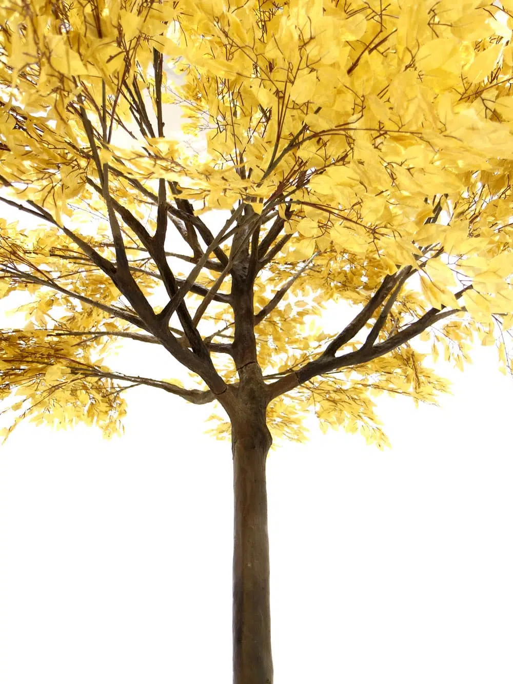 SN6730_Gold Leaf Tree (3.5m)_ (2)