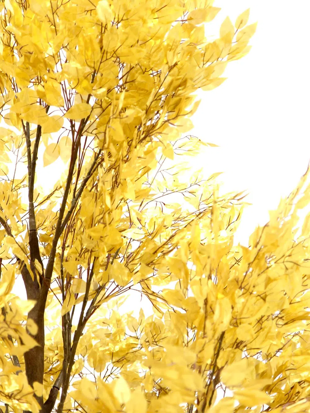 SN6732_Gold Leaf Tree (3.2m)_ (2)
