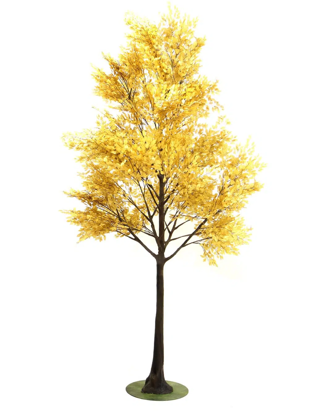SN6735_Gold Leaf Giant Tree_