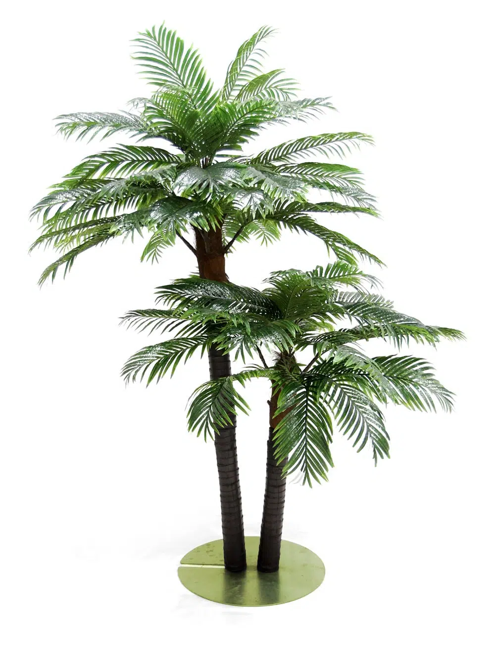 SN6769_Double Headed Palm Tree - Medium_187