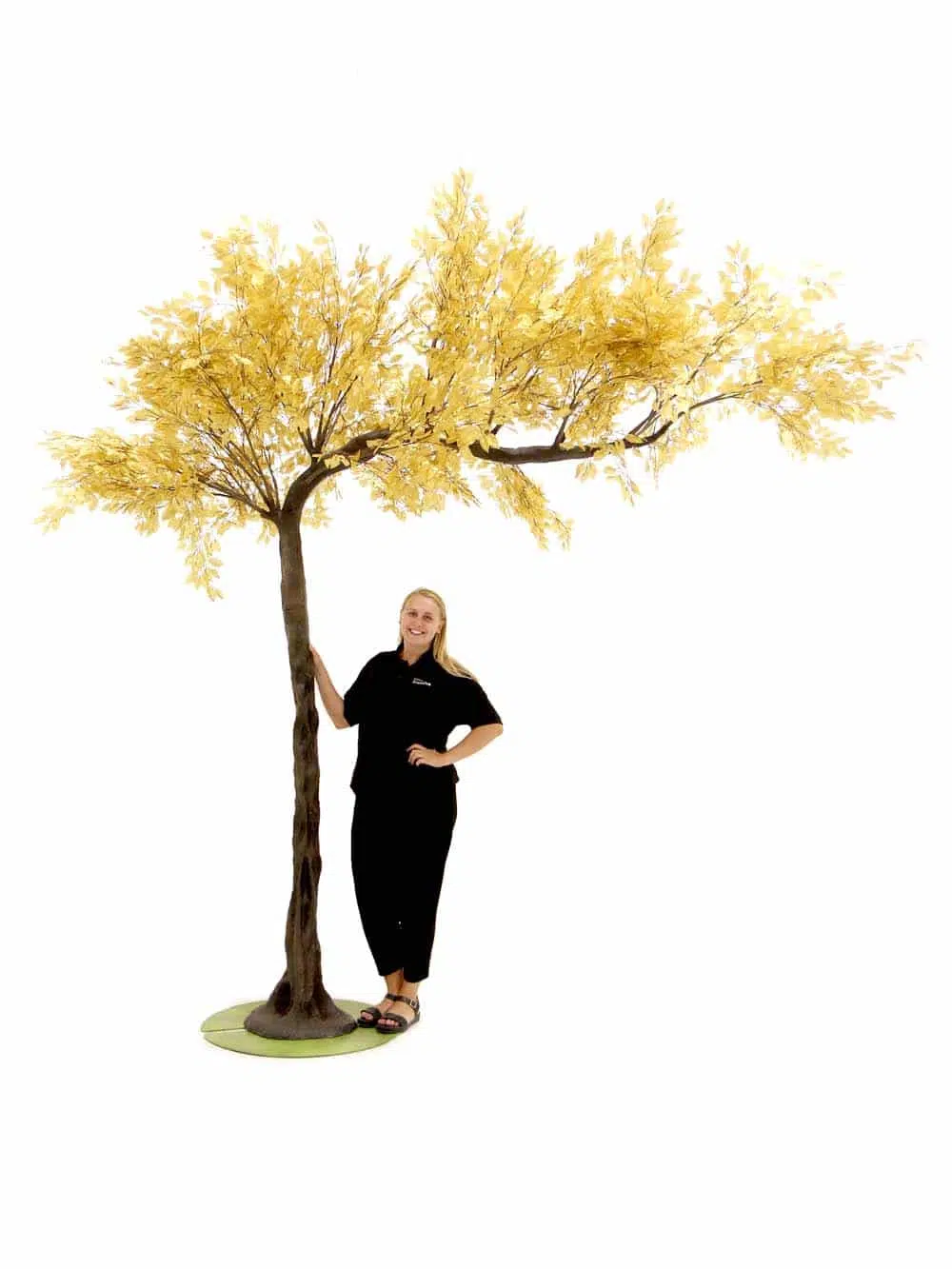 SN6726_Gold Canopy tree_event_prop_hire_EPH_creative_233_optimised