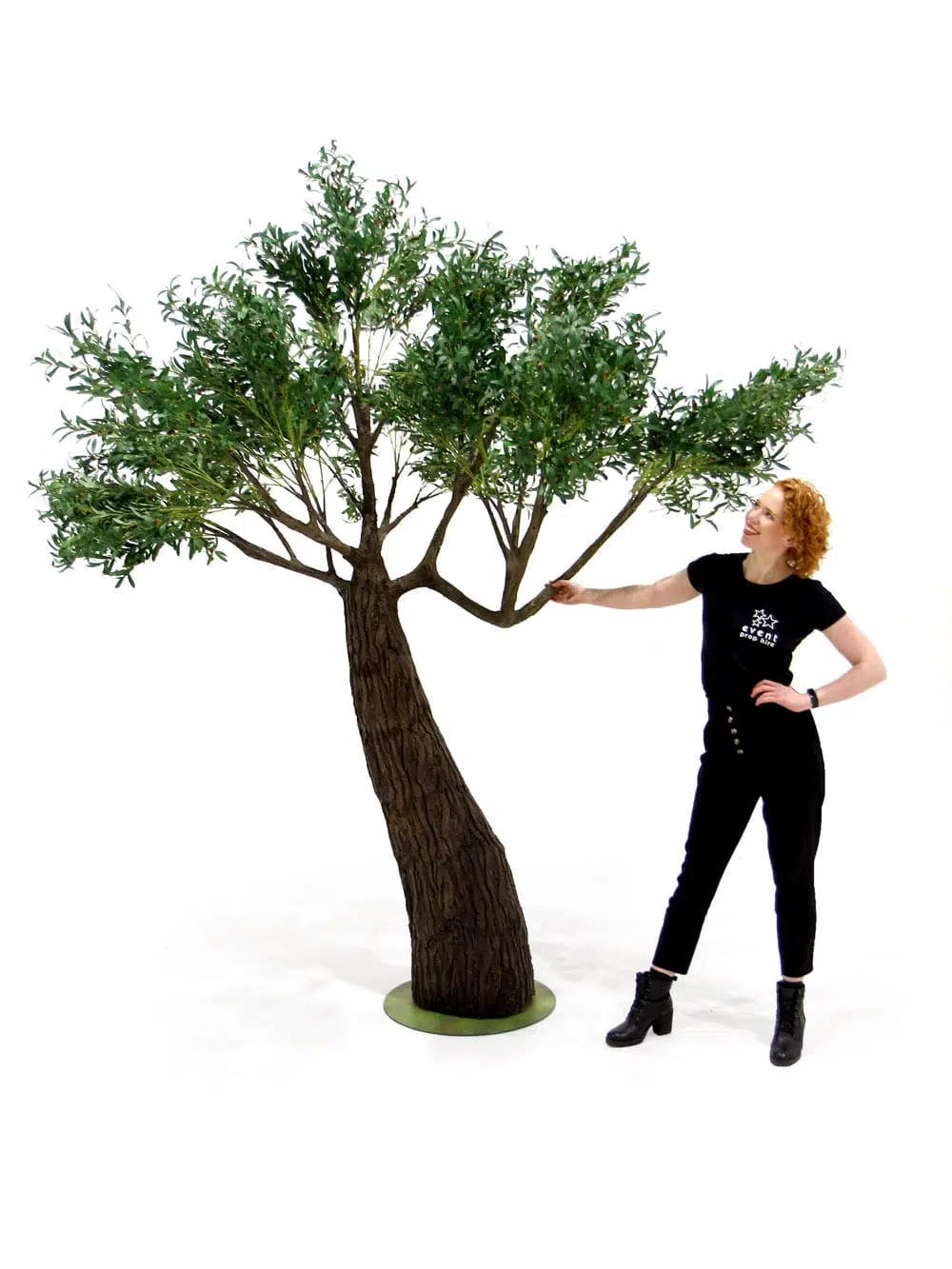SN6841_Olive Tree - Thick Trunk_ (1)