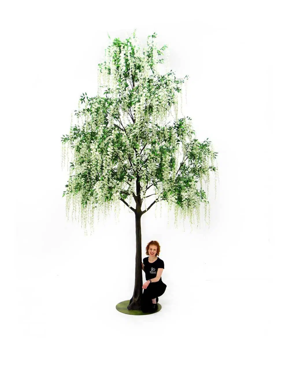 SN6493_wisteria_long_flower_giant_tree_09_event_prop_hire_optimised