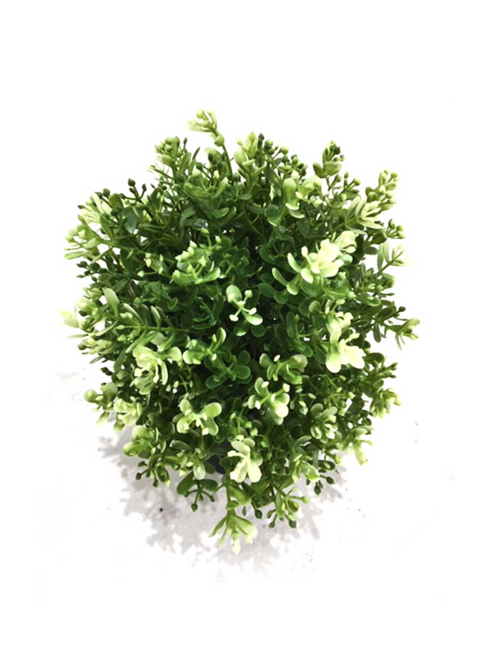 SN6887_replica_assorted_small_mediterranean_plants_21_event_prop_hire_optimised