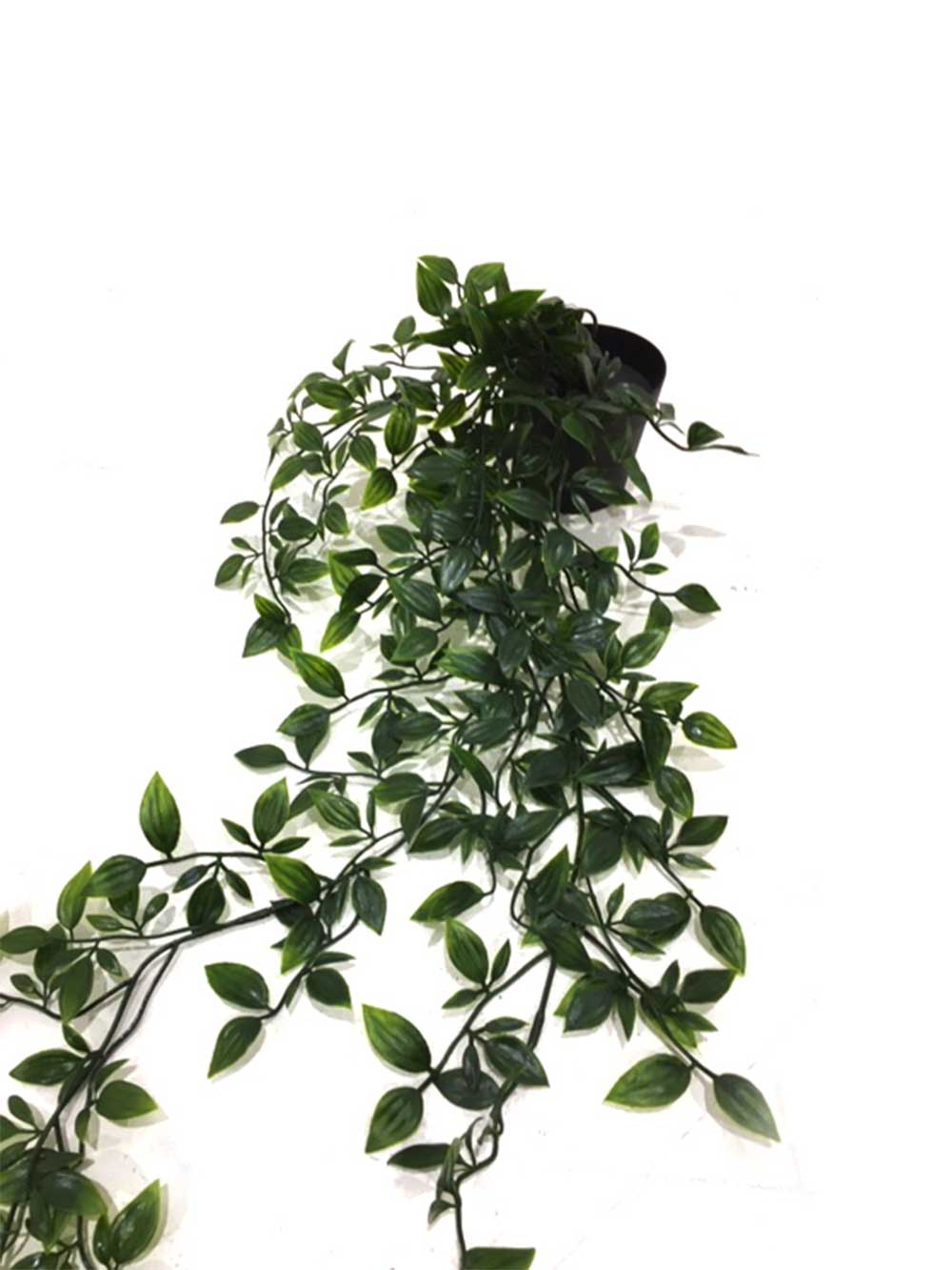 SN6887_replica_assorted_small_mediterranean_plants_22_event_prop_hire_optimised
