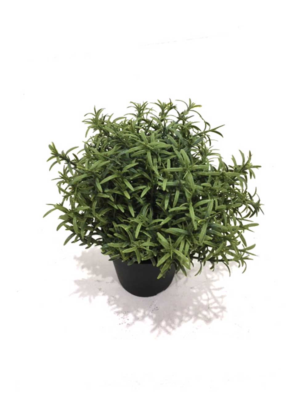 SN6887_replica_assorted_small_mediterranean_plants_23_event_prop_hire_optimised