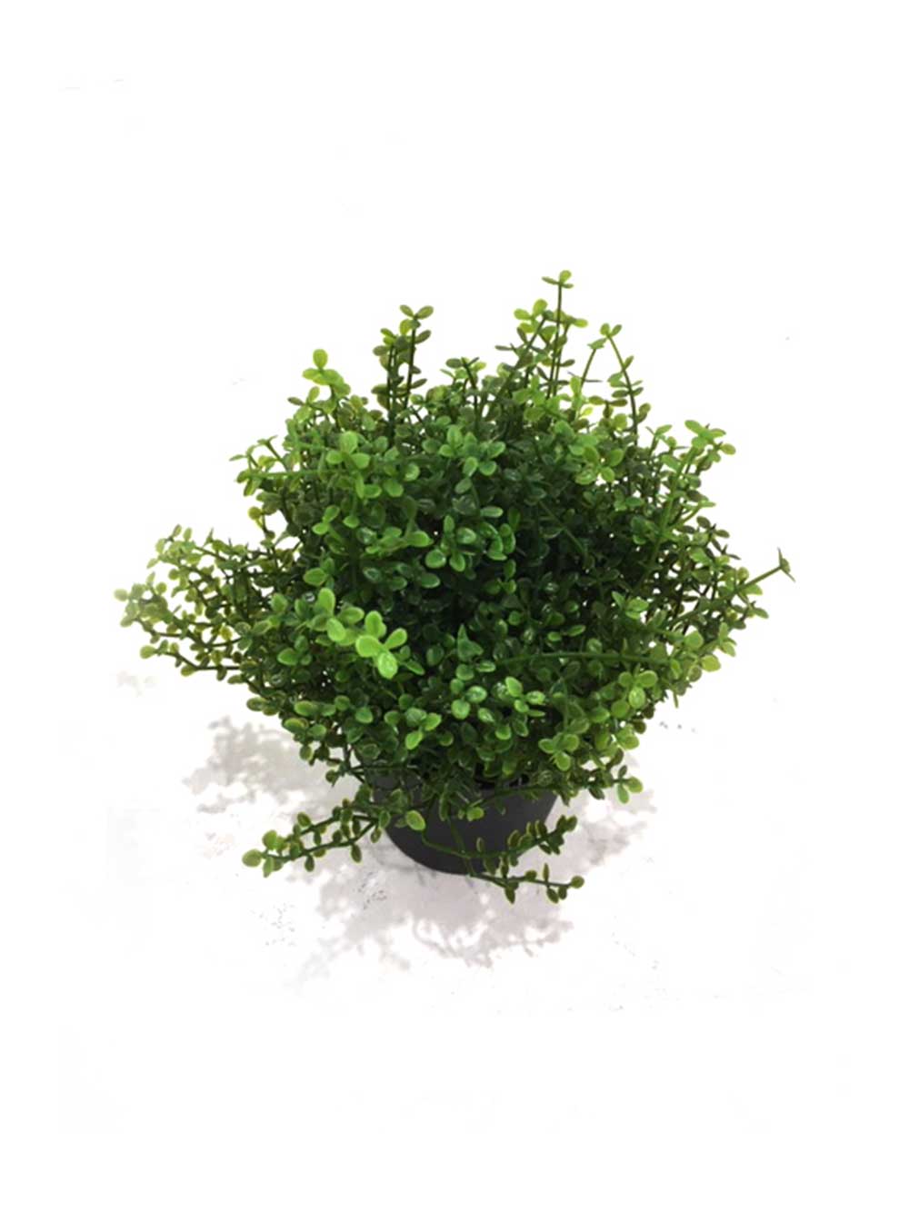 SN6887_replica_assorted_small_mediterranean_plants_26_event_prop_hire_optimised