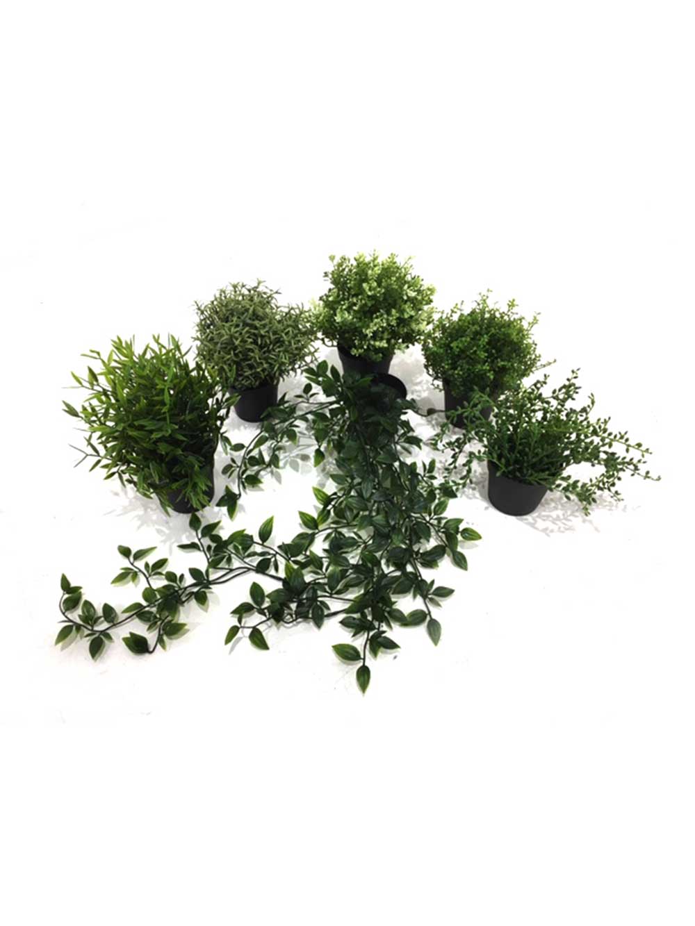 SN6887_replica_assorted_small_mediterranean_plants_27_event_prop_hire_optimised