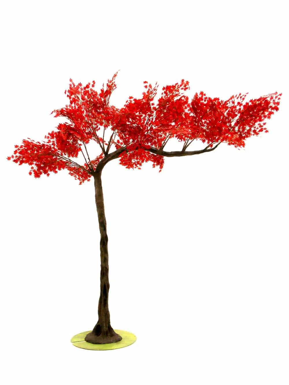 SN6972 _Red Acer Canopy Tree (3m)_event_prop_hire_EPH_Creative_06_optimised