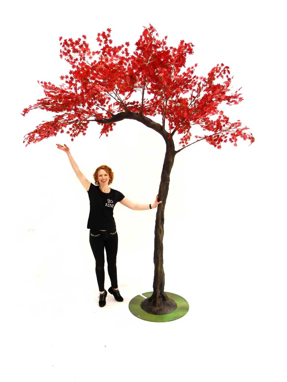 SN6973_red_acer_half_arch_tree_3.1m_30_event_prop_hire_optimised