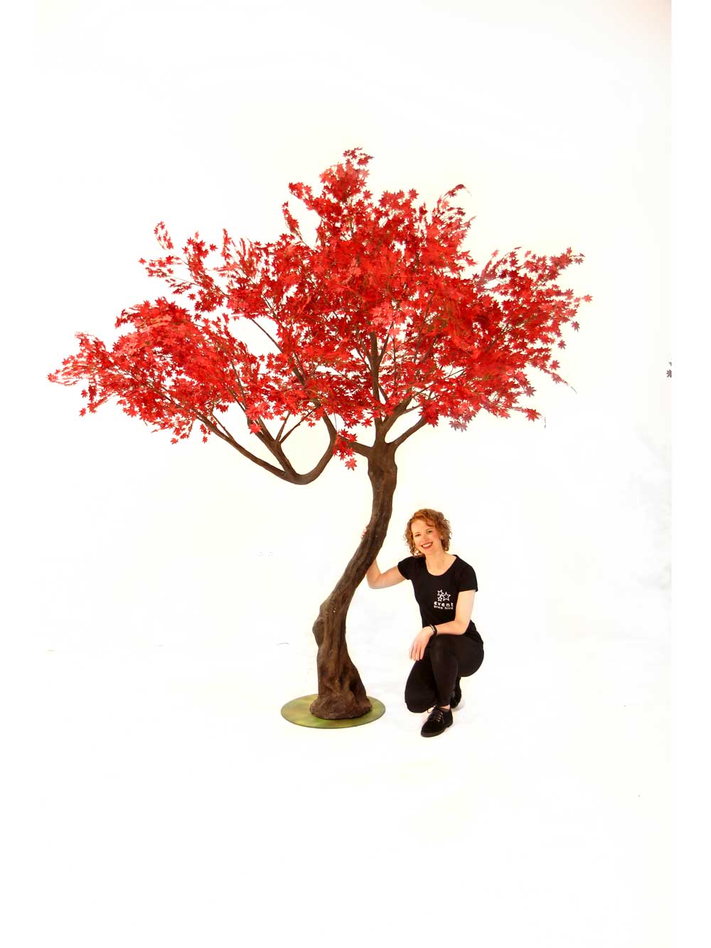 SN6974_red_acer_twisted_trunk_tree_2.9m_33_event_prop_hire_optimised