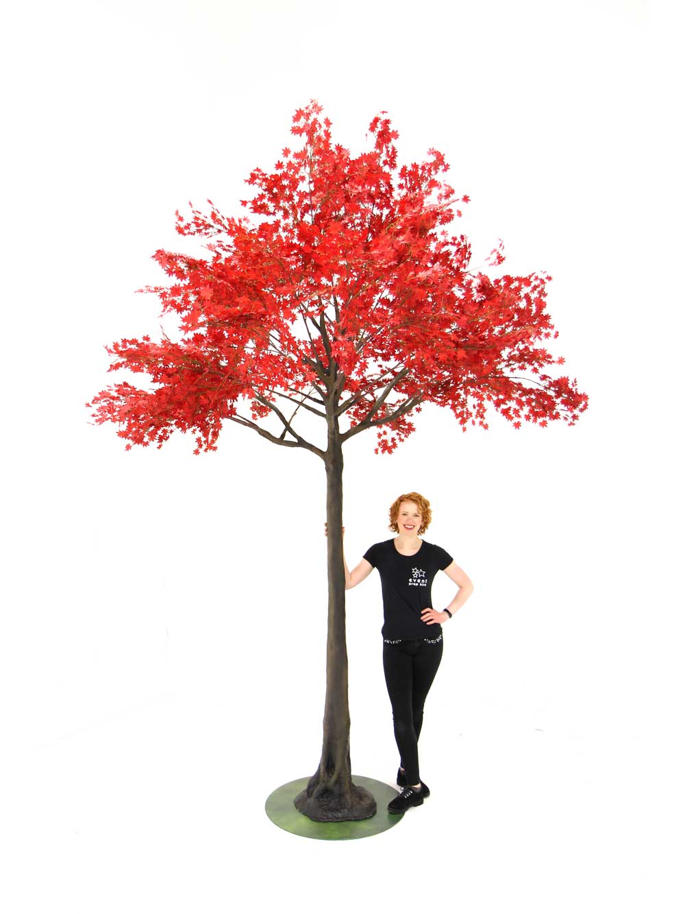 SN6976_red_acer_tree_3.8m_extra_tall_35_event_prop_hire_optimised