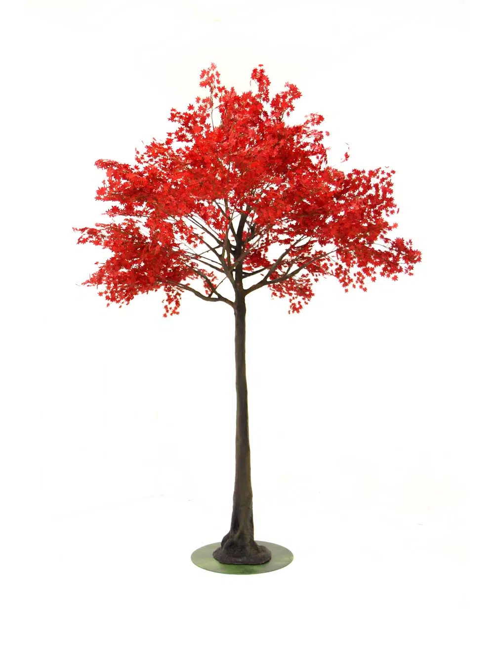 SN6976_red_acer_tree_3.8m_extra_tall_36_event_prop_hire_optimised