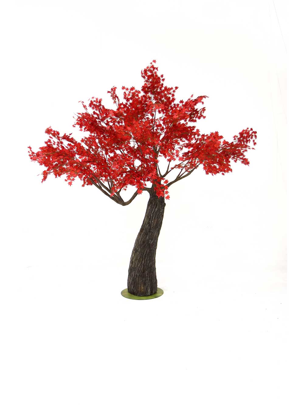SN6979_red_acer_tree_thick_trunk_2.9m_44_event_prop_hire_optimised