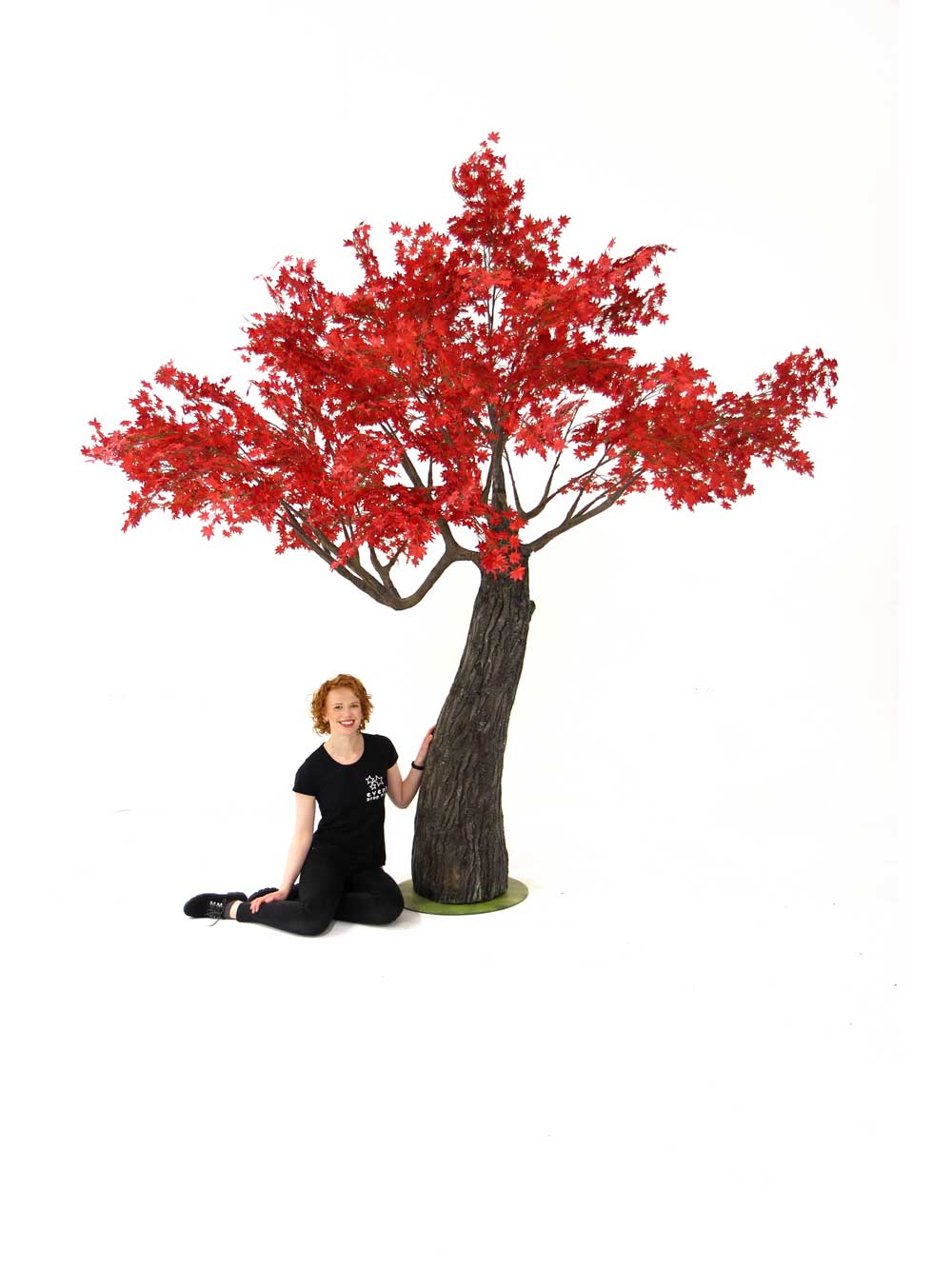 SN6979_red_acer_tree_thick_trunk_2.9m_45_event_prop_hire_optimised
