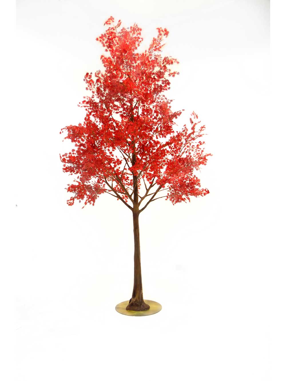 SN6981_red_acer_giant_acer_tree_5m_52_event_prop_hire_optimised