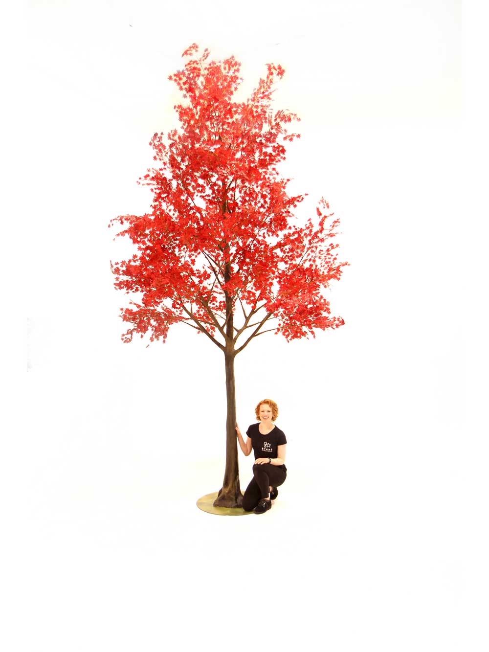 SN6981_red_acer_giant_acer_tree_5m_53_event_prop_hire_optimised