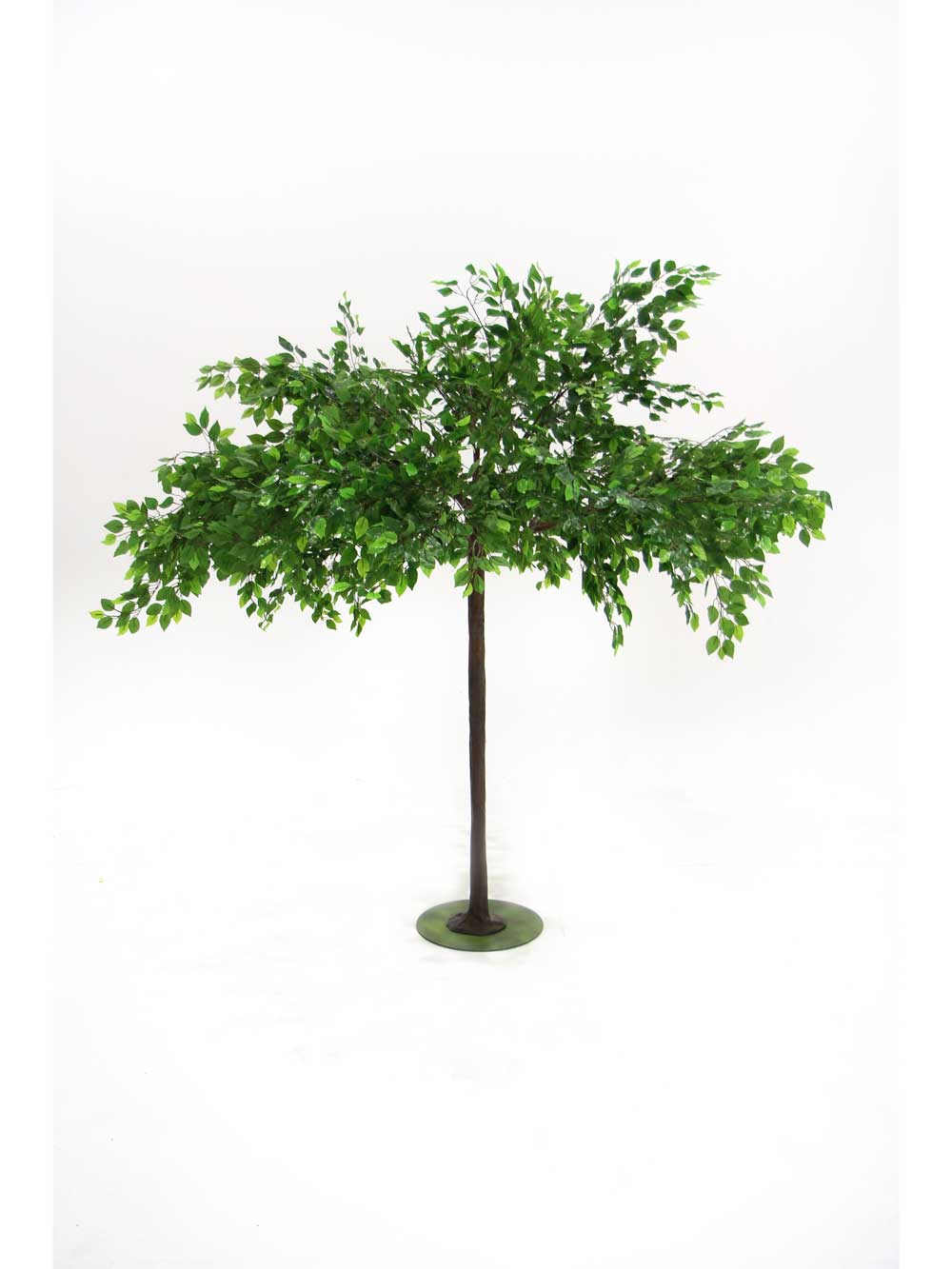 SN7003_ficus_umbrella_table_top_tree_56_event_prop_hire_optimised