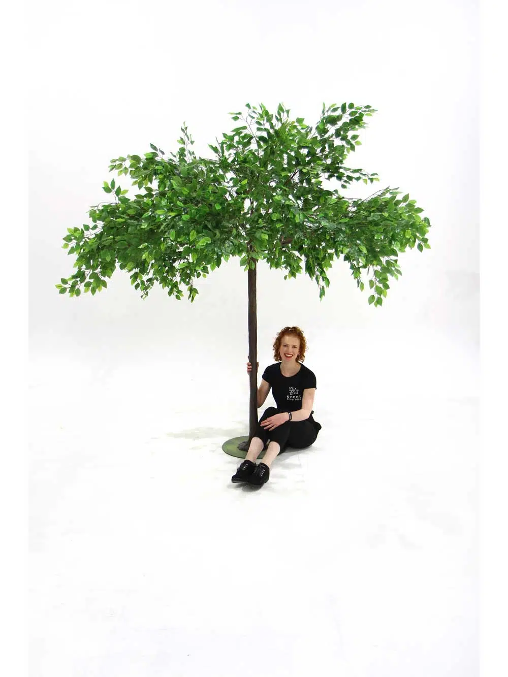 SN7003_ficus_umbrella_table_top_tree_57_event_prop_hire_optimised