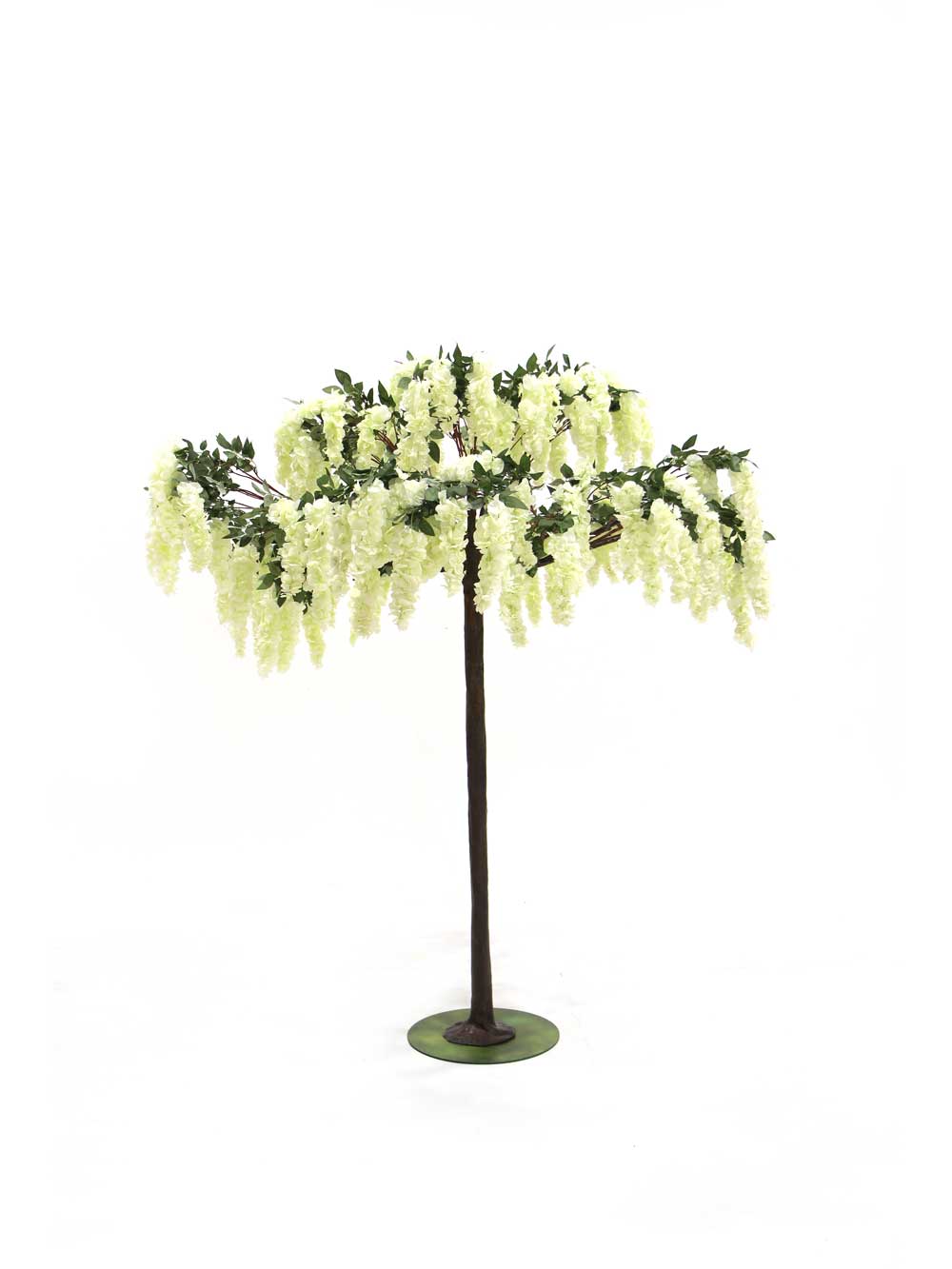 SN7006_wisteria_flower_cluster_umbrella_tree_59_event_prop_hire_optimised