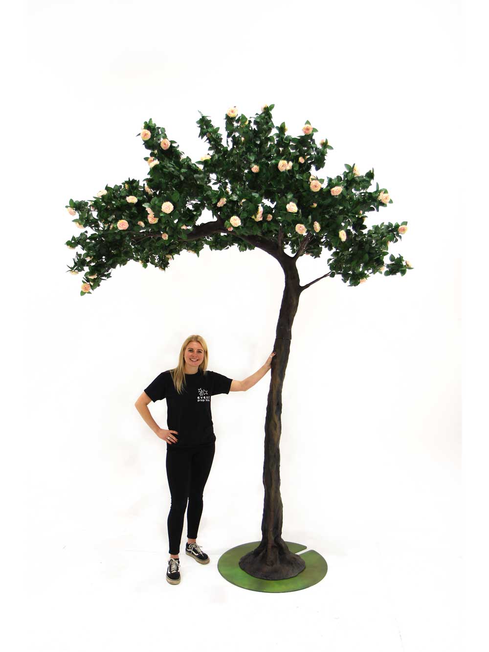 SN7043_pink_rose_half_arch_tree_80_event_prop_hire_optimised