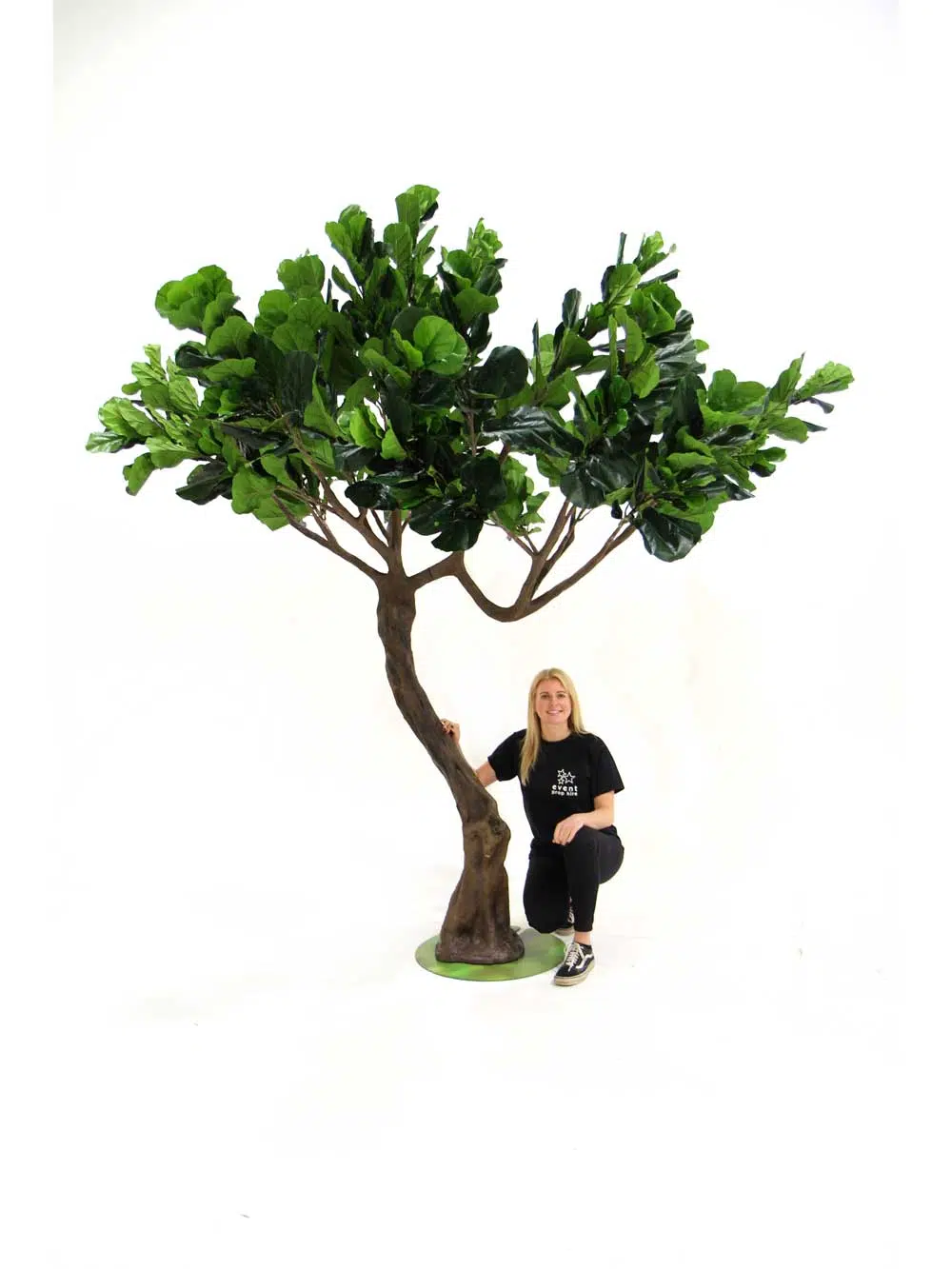SN7179_fig_twisted_trunk_tree-(1)_10_event_prop_hire_optimised