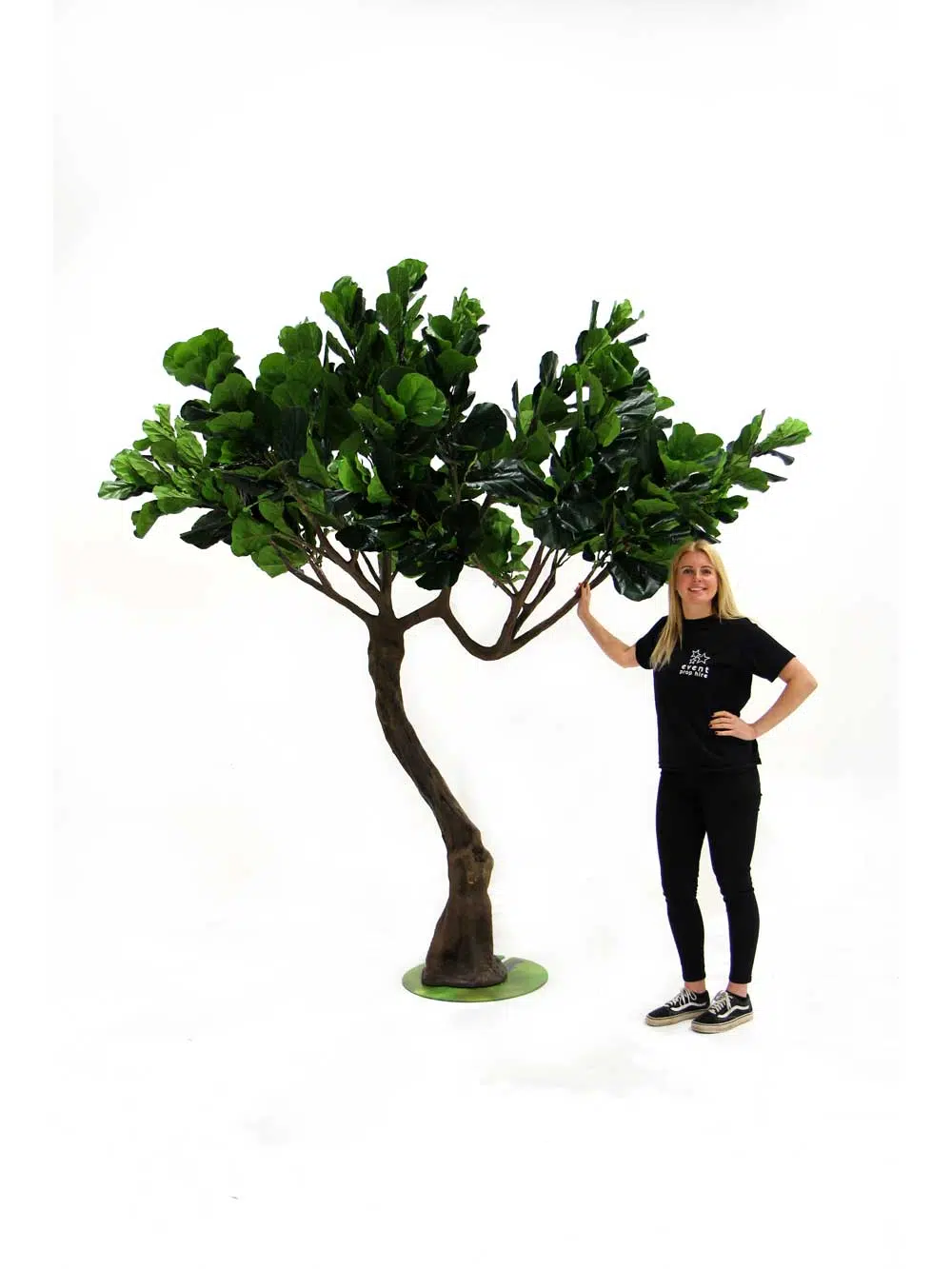 SN7179_fig_twisted_trunk_tree-(3)_12_event_prop_hire_optimised