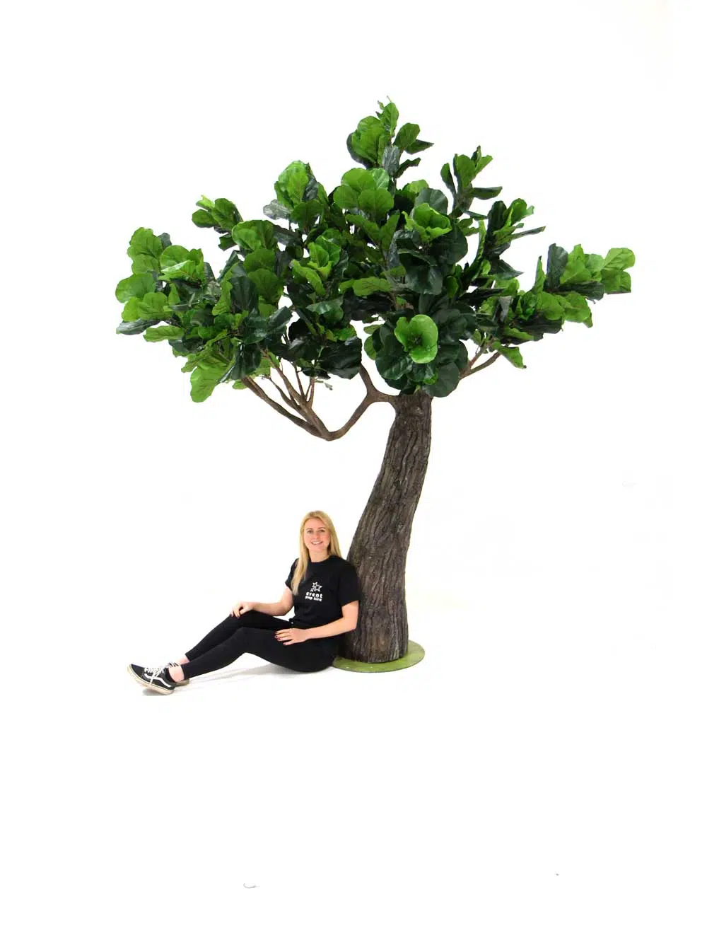 SN7181_fig_tree_thick_truck_2.9m-(5)_16_event_prop_hire_optimised