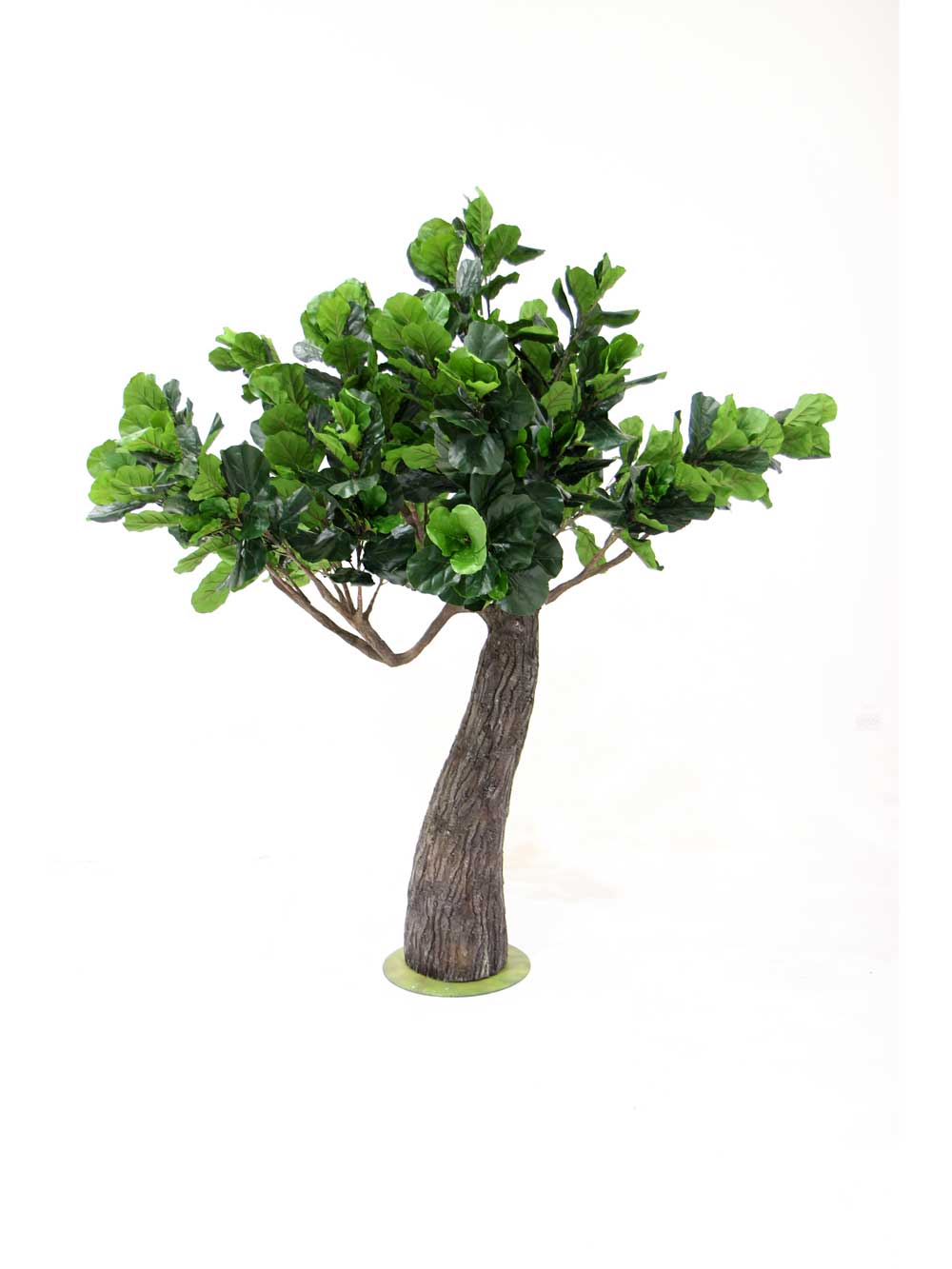 SN7181_fig_tree_thick_truck_2_17_event_prop_hire_optimised