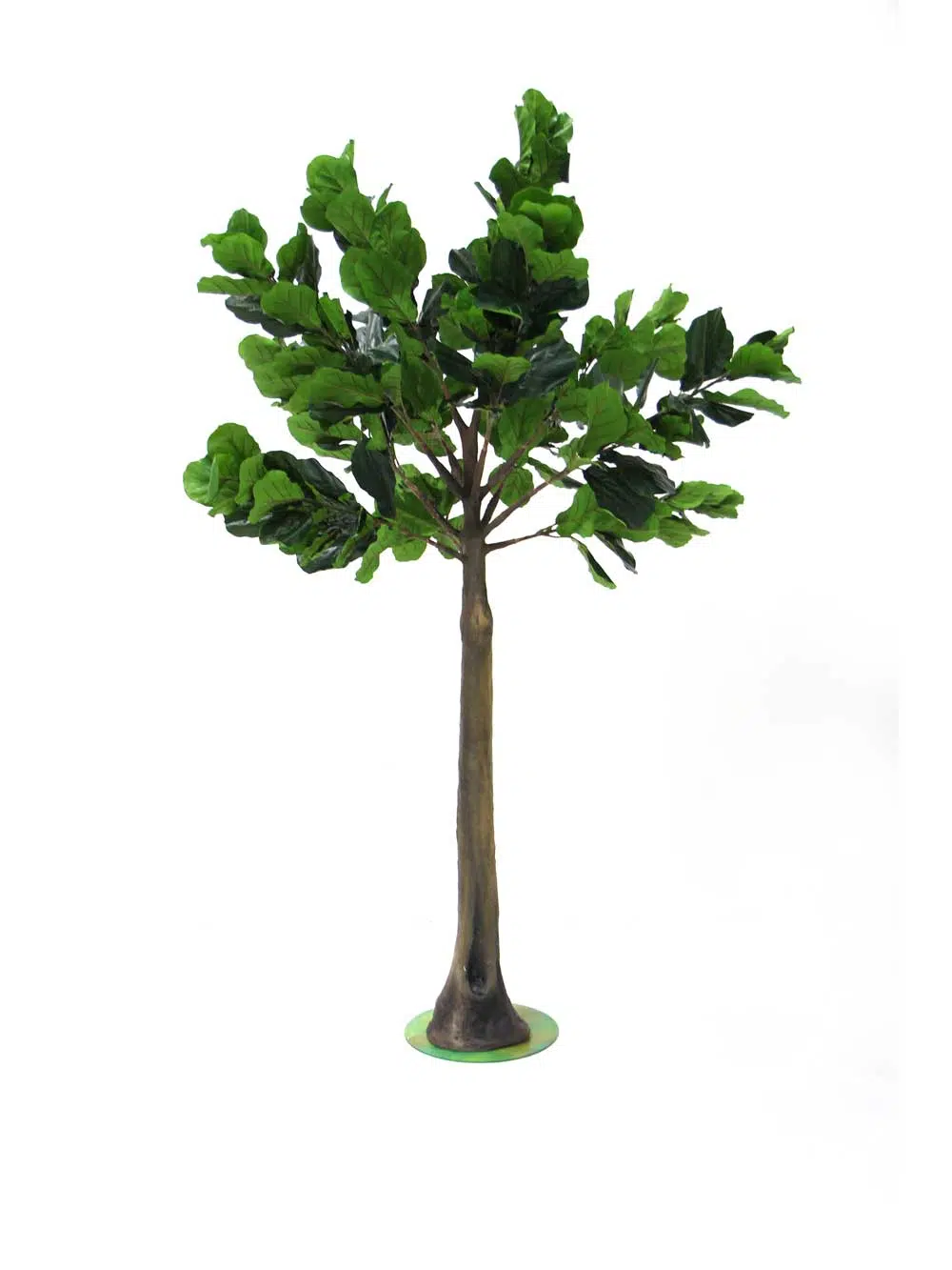 SN7182_fig_tree_2.5m_medium_trunk-(2)_20_event_prop_hire_optimised