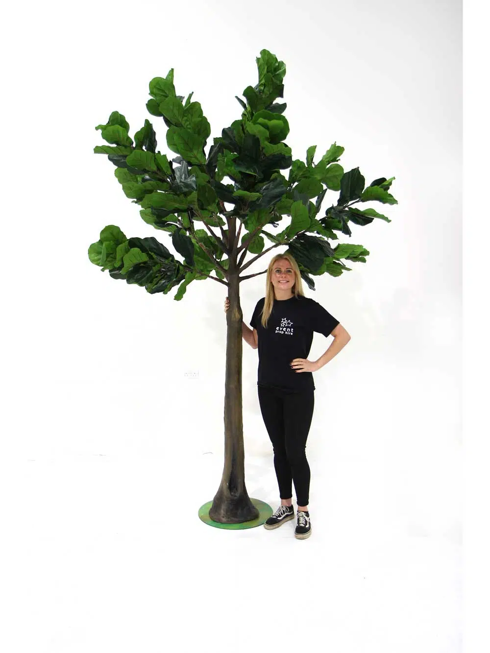 SN7182_fig_tree_2.5m_medium_trunk-(3)_21_event_prop_hire_optimised