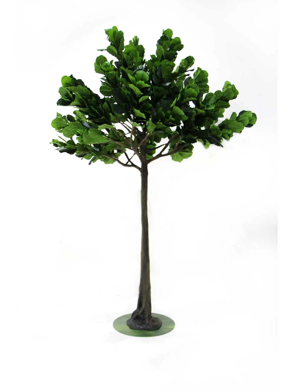 SN71833_fig_tree_3.6m_extra_tall_trunk-(1)_24_event_prop_hire_optimised