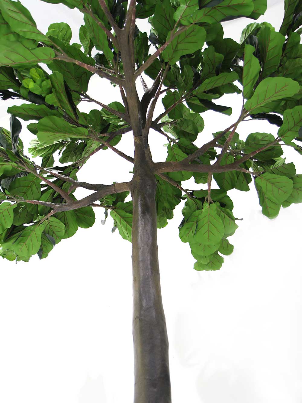 SN71833_fig_tree_3.6m_extra_tall_trunk-(3)_26_event_prop_hire_optimised