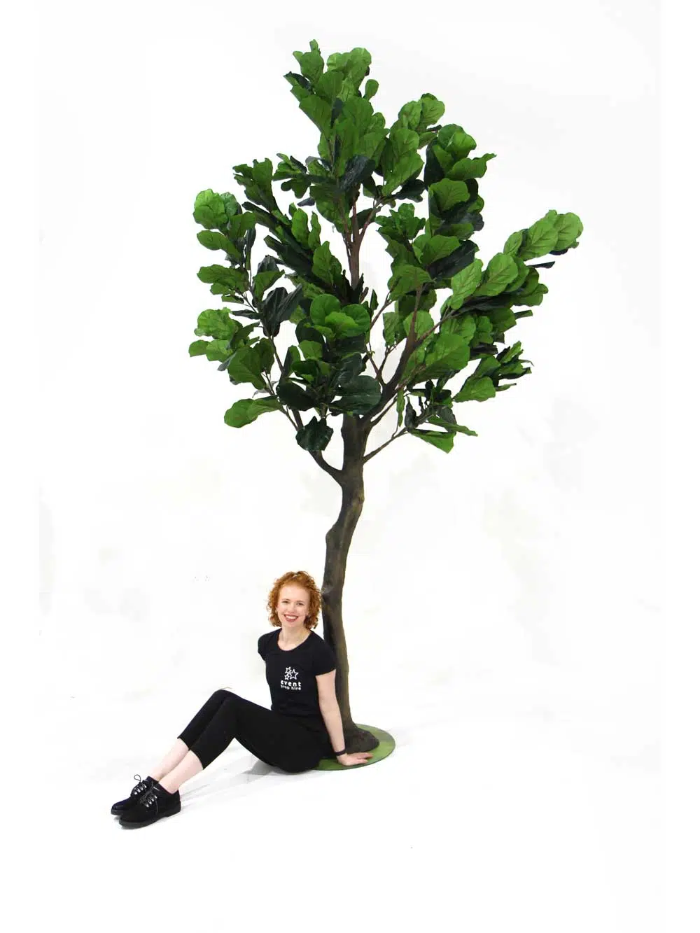 SN7184_fig_tree_3.3m_tall_trunk-(1)_22_event_prop_hire_optimised