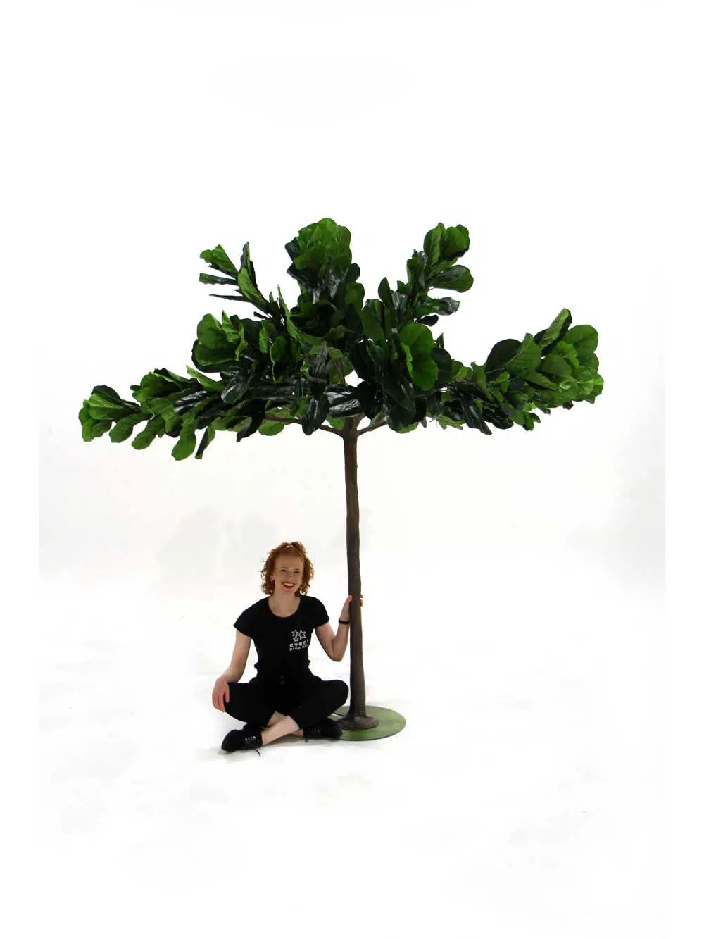 SN7277_fig_umbrella_table_top_tree (1)