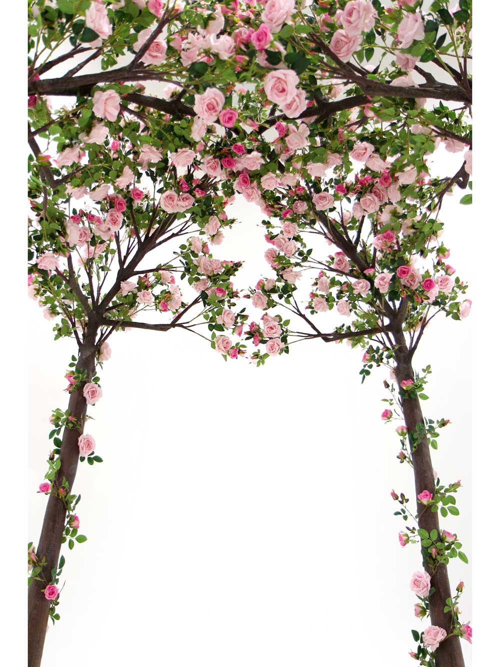 SN6935_pergola_pink_roses_12_event_prop_hire_optimised